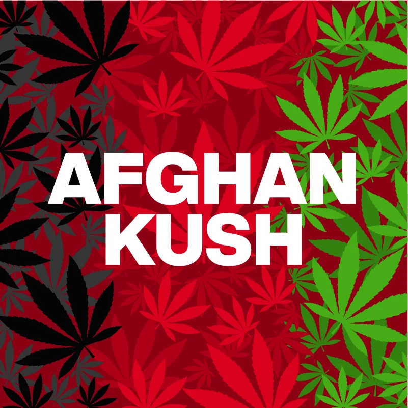 afghan kush