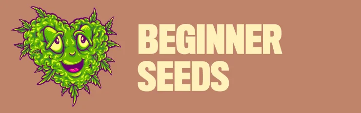 beginner seeds
