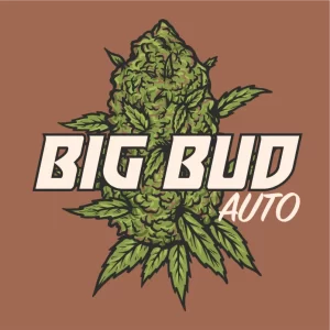 big_bud_auto