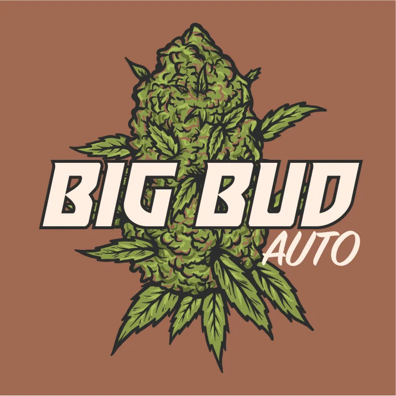 big_bud_auto