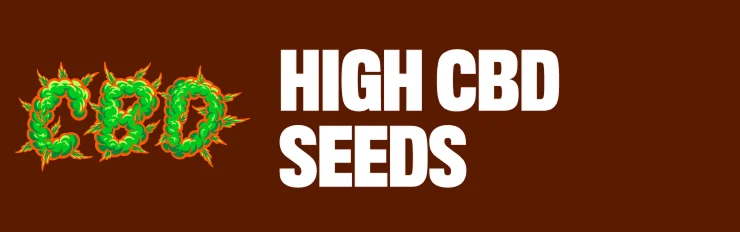 high cbd seeds