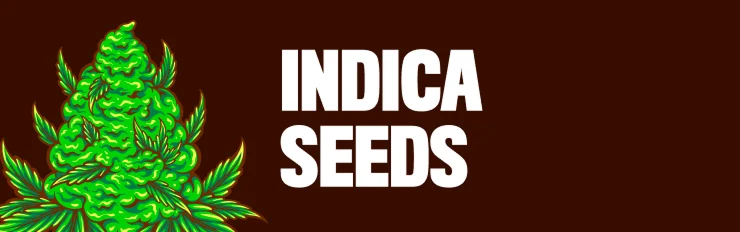 indica seeds