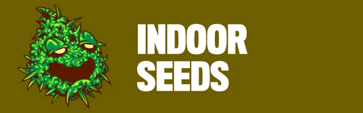 indoor seeds