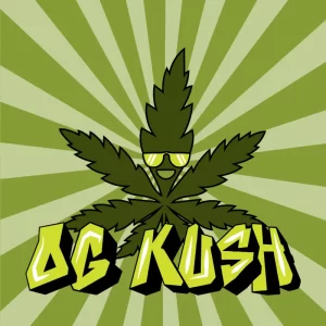 og_kush_7
