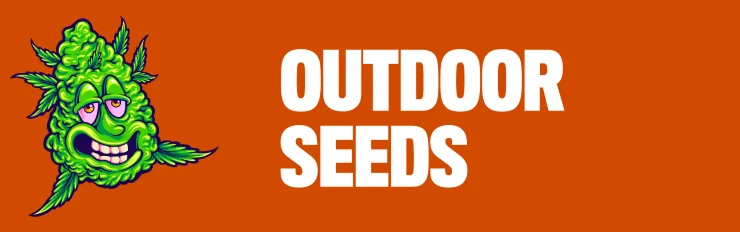 outdoor seeds