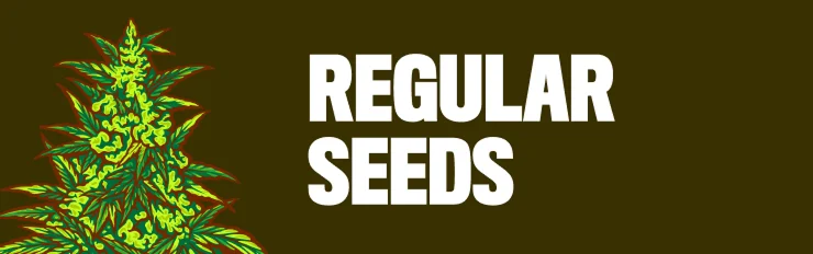 regular seeds