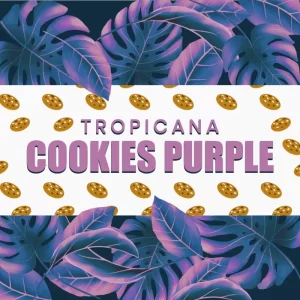tropicana_cookies_purple_1